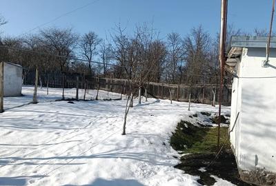 Casă cu 2 camere în Țichindeal - 5