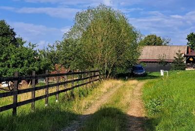 Hotel/Pensiune, de 20 mp, în Șimon - 4