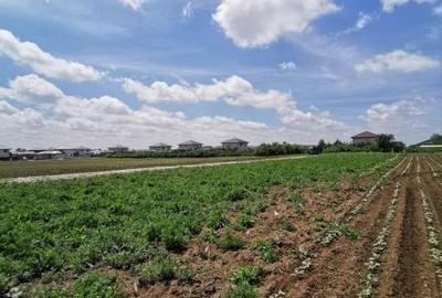 Balotesti 2 loturi de 1400mp, 2 loturi a cate 750mp - 7