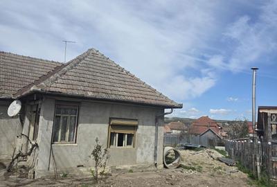 Casă cu 3 camere în Mihai Viteazu - 3