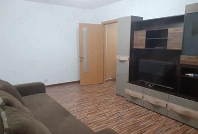 Garsonieră decomandată în Valea Ialomiței - 2