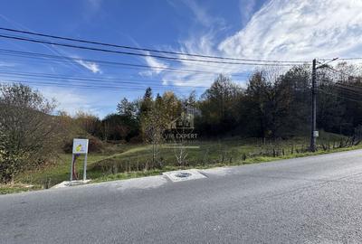 TEREN INTRAVILAN 13167 MP BUGHEA DE SUS ARGES TEREN INTRAVILAN 13167 MP BUGHEA DE SUS ARGES - 1