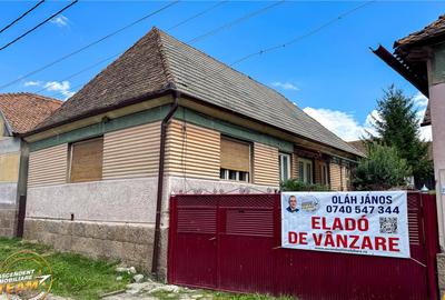 FILM!Doua case traditionale,pe domeniu cu peste 5.000mp tere - 2