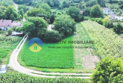 TEREN intravilan GIROV 4133 mp - 2