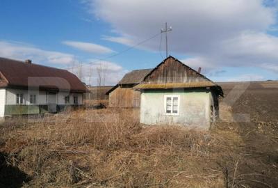 Teren de 10000 mp, în Central