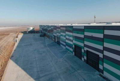 Hala de vanzare, Sc 7014mp, Zona Biharia - 15