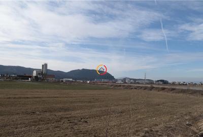 Teren de 4800 mp, în Centură - 14