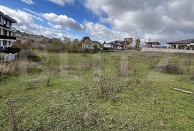 Teren 53 ari-cu posibilitate de parcelare 10/20/30! Zona Subcetate - 1