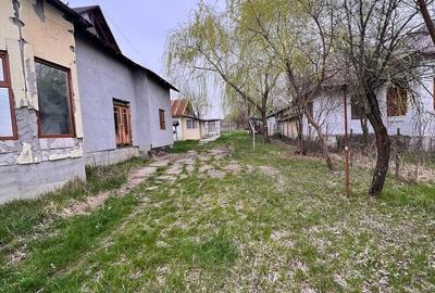 Casă cu 4 camere cu Teren 2244 Mp în Măciuca - 3