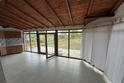 CASA CU TEREN GENEROS IN GRUIU - 9