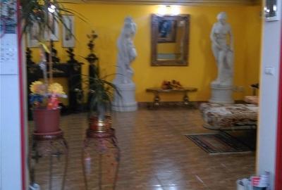 Casă cu 13 camere cu Teren 1410 Mp în Dumbrăvița - 2