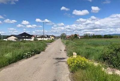 TEREN EXTRAVILAN//LIPANESTI//100.000 MP - 2