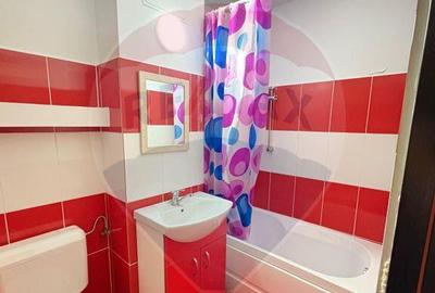 Apartament cu 1 camere de inchiriat in zona Vlaicu - 6