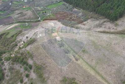Teren de vanzare - 207.000 mp in Benesat, cu panorama  spectaculoasa. - 4