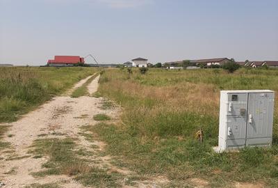 Teren 585 mp, intravilan, in Domnesti catre Teghes, din str. Curtea Domneasca - 10