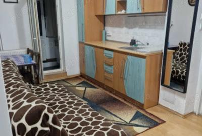 Inchiriez Apartament 2 camere , decomandat, et.1, parculet Rovine, centrala termica - 7