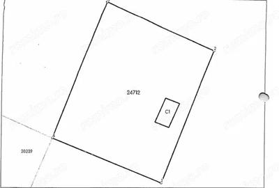 Casa si teren-Comuna Dor Marunt-Jud Calarasi Casa si teren-Comuna Dor Marunt-Jud Calarasi - 2