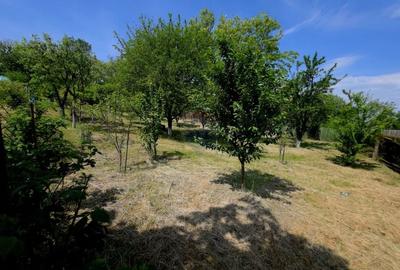 Teren Construcții intravilan de 4516 mp, în Doina - 17