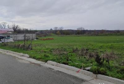 Teren de 750 mp, în Mischii - 2