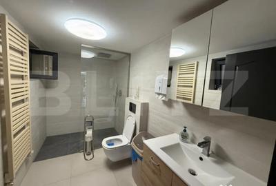 Casă cu 5 camere cu Teren 3500 Mp în Viile Satu Mare - 2