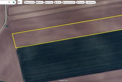 Teren agricol extravilan de 17000 mp, în Central - 2