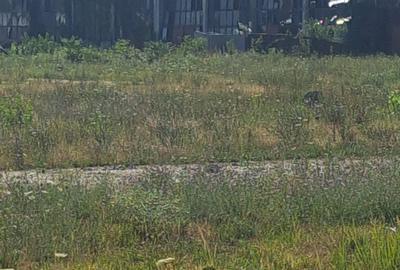 Hala 3360 mp Strada Garii (fosta SIRCUC Timisoara) - 6