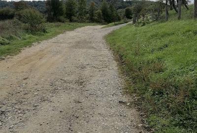 Teren de 30000 mp, în Central - 4