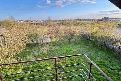 Casa Sinandrei Timis - 3