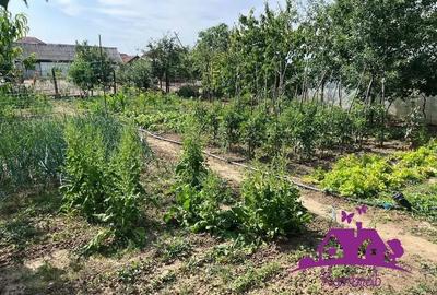 Casă cu 4 camere cu Teren 746 Mp în Nojorid - 9