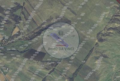 Spațiu comercial, în Central