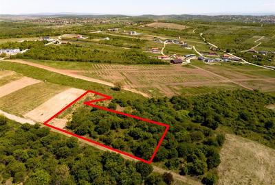 Teren intravilan de 2414 mp, în Dealuri Oradea - 6