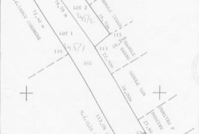 Teren Construcții intravilan de 3335 mp, în Cătrunești - 3