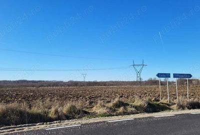 Teren de 10614 mp, în Mareș - 6