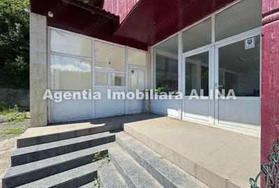 Spatiu comercial spre iesire din Loc. Deva (spre Mintia) zona Izvorul Decebal, Jud. Hunedoara. - 9