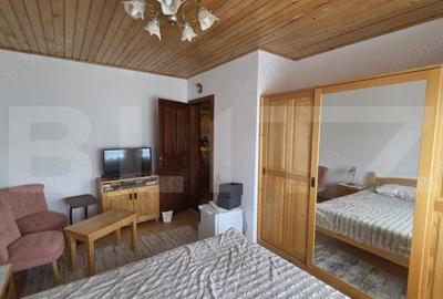Casa de vacanca cu potential turistic, 1603 mp teren, Cernatesti - 5