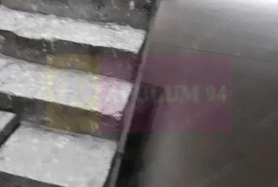 Inchiriere casa/vila noua individuala zona Mihai Bravu, aproape metrou - 13