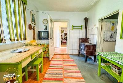 FILM! Casa pitoreasca + anexe + 1.500mp teren, Santionlunca, Covasna - 4