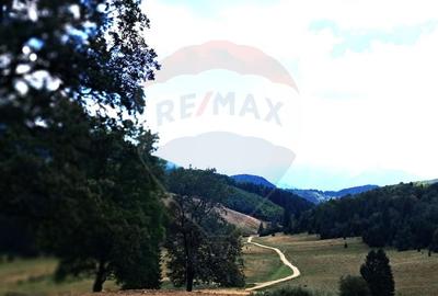 Teren 4,698mp Poiana Brasov / Strada Pastorului - 4