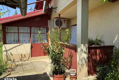 Casă cu 3 camere cu Teren 4000 Mp în Letca Nouă - 12