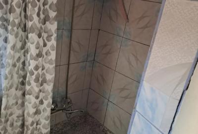 Casă cu 4 camere în Bariera Vâlcii - 3