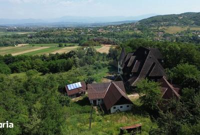 Casă cu Teren 24700 Mp în Copalnic - 5