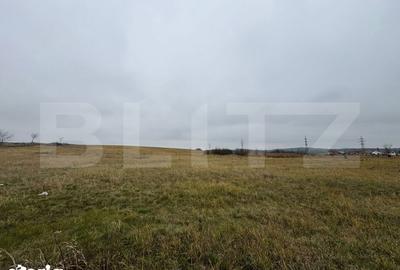 Teren de 4416 mp, în Turdaș - 1