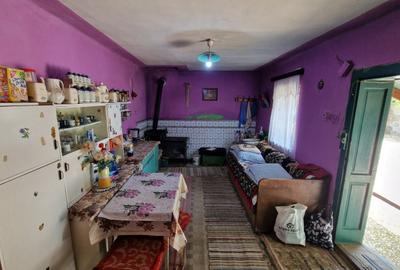 Casă individuală cu 4 camere cu Canalizare în Nou - 10