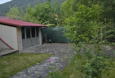 Casă cu 3 camere cu Teren 400 Mp în Sinaia - 8