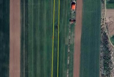 Teren extravilan | Silistea Snagovului | 8500mp | Stradal - 2