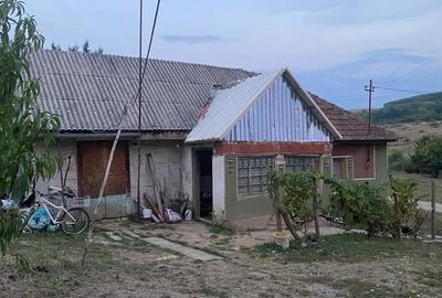 Casă cu 4 camere cu Teren 2215 Mp în Uileacu de Munte - 4