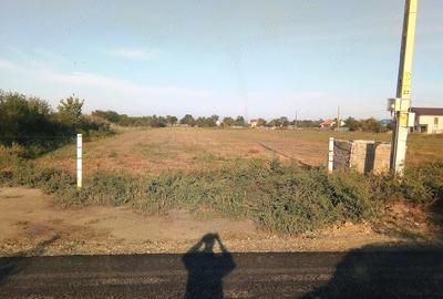 Teren de 5600 mp, în Pietroiu - 3