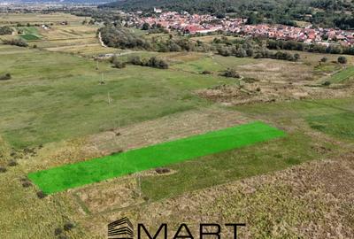 Teren extravilan 2000 mp, zona Selimbar (Mohu) - 1