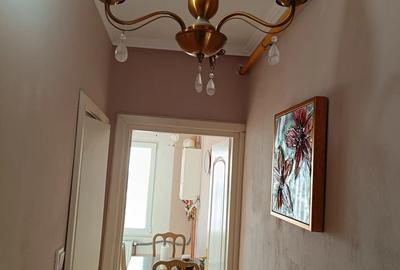 Proptietar inchiriez apartament cu 2 camere Tache Ionescu 450 euro - 10