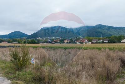 Teren Construcții intravilan de 440 mp, în Bunloc - 10